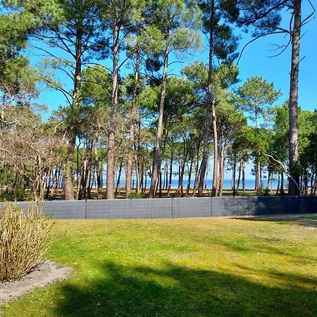 Maison Du Avec Lagon, De Nage, Jacuzzi Villa Biscarrosse