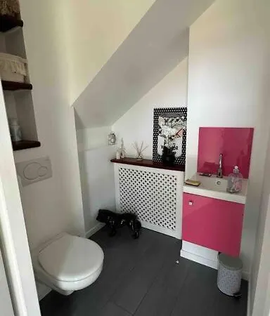 Maison Du Avec Lagon, De Nage, Jacuzzi Biscarrosse