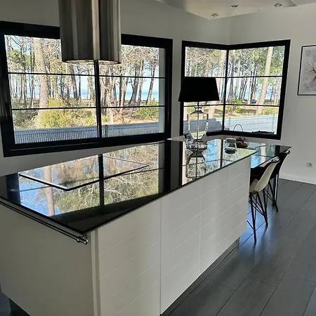 Maison Du Lac Avec Lagon, Spa De Nage, Jacuzzi * Biscarrosse