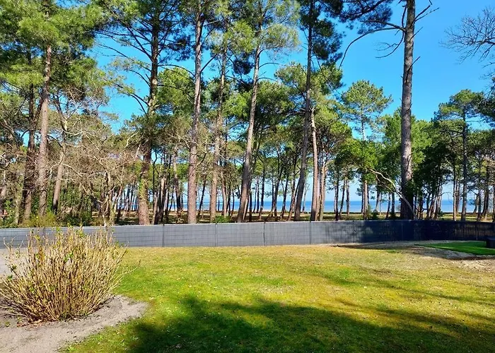 Maison Du Avec Lagon, De Nage, Jacuzzi Willa Biscarrosse