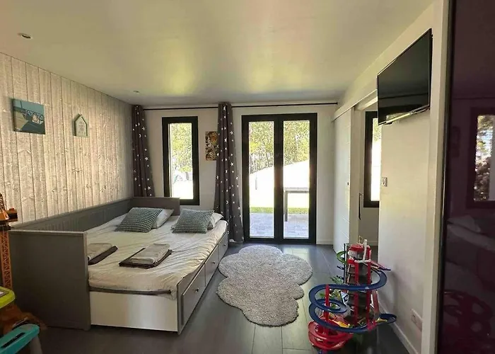 Maison Du Avec Lagon, De Nage, Jacuzzi Biscarrosse